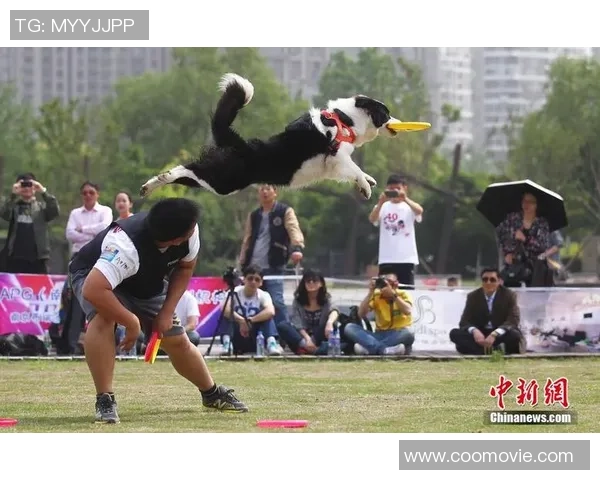 上海飞盘队在极限运动世界杯中的战术分析与表现评估
