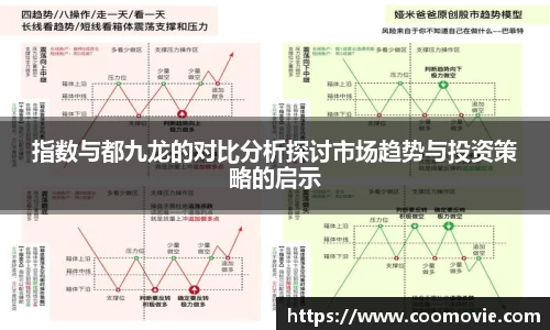 指数与都九龙的对比分析探讨市场趋势与投资策略的启示